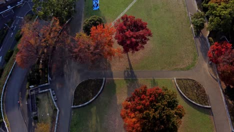 Autumn-park-aerial-view-with-vibrant-red-trees-and-walking-paths-at-dusk