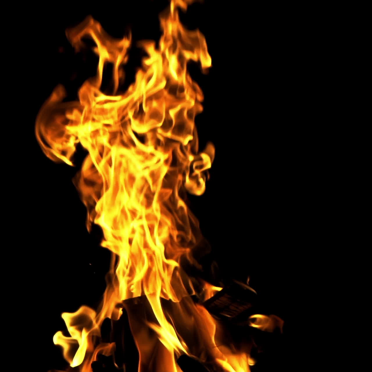 Bonfire in night. Close view. Slow motion. Campfire in the woods.