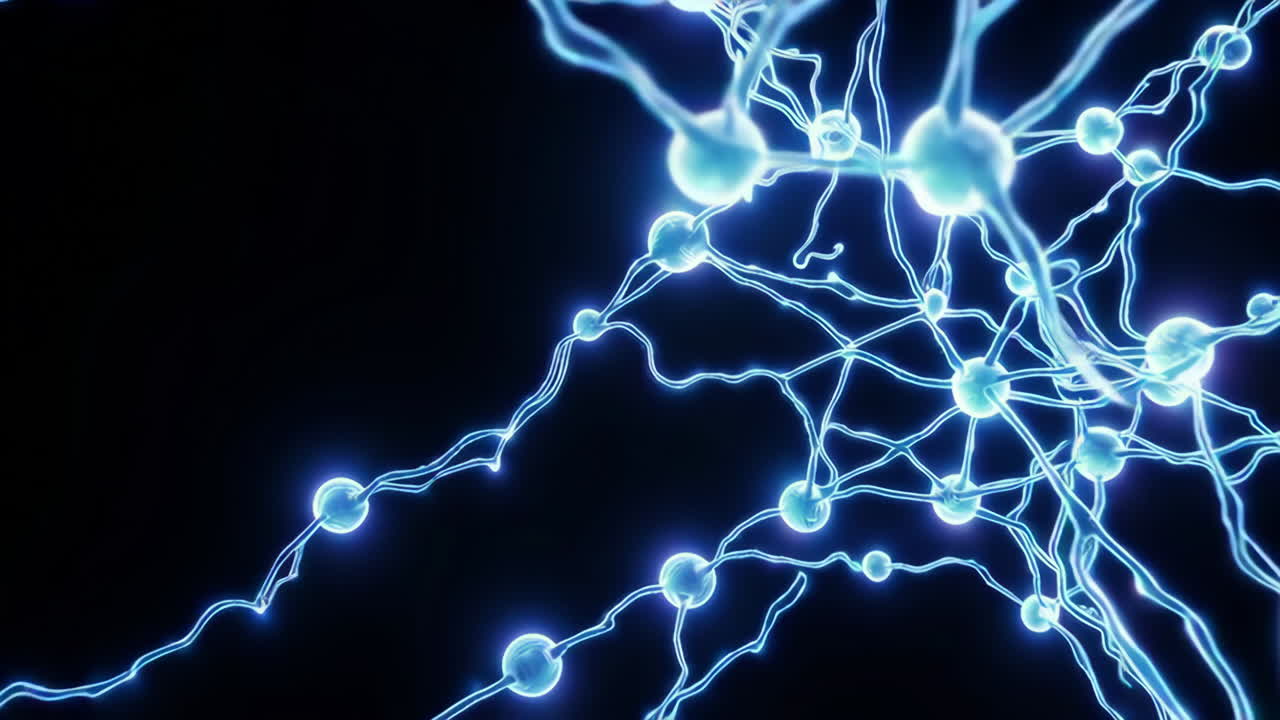 Визуализация нейронной сети