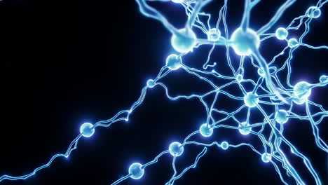 neural network visualization