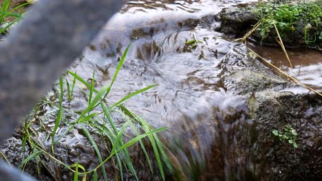 fresh creek water cascading off stones flowing through foliage close up passing metal railing dolly right