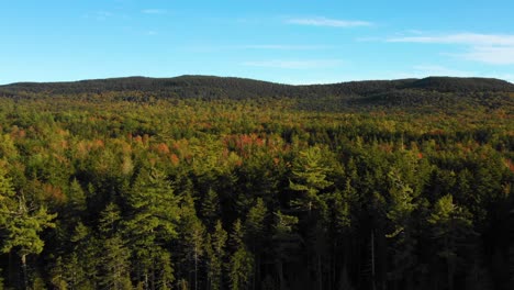 aerial drone shot pulling back and rising up over autumn color trees in the forest as summer ends and the season changes to fall in maine