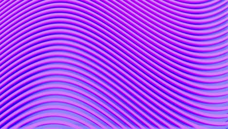 purple stripes wave gradient background loop