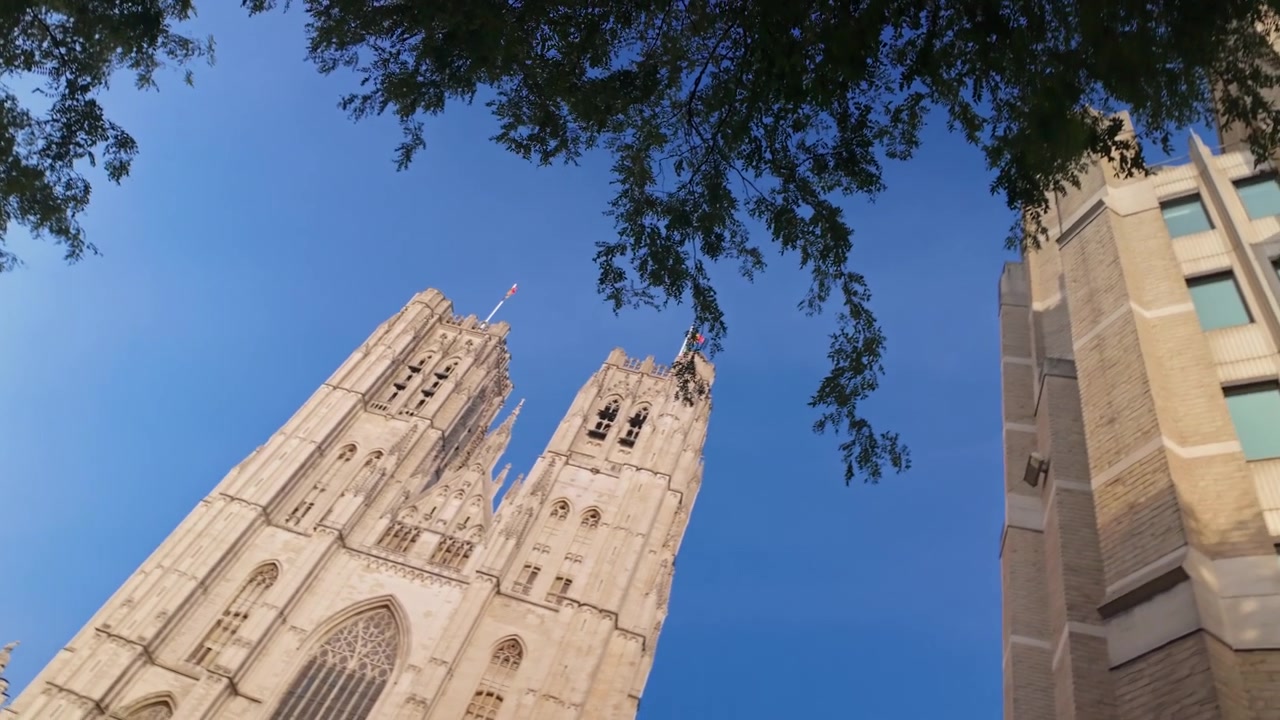 Vista rotante dal basso di una cattedrale gotica a Bruxelles e di un edificio moderno incorniciati da rami frondosi contro un cielo azzurro limpido, che mostra architettura urbana e prospettiva drammatica