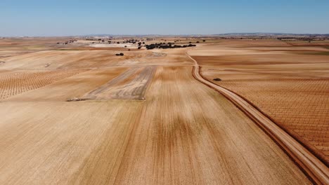 Aerial-view-of-dry-fields-and-lines