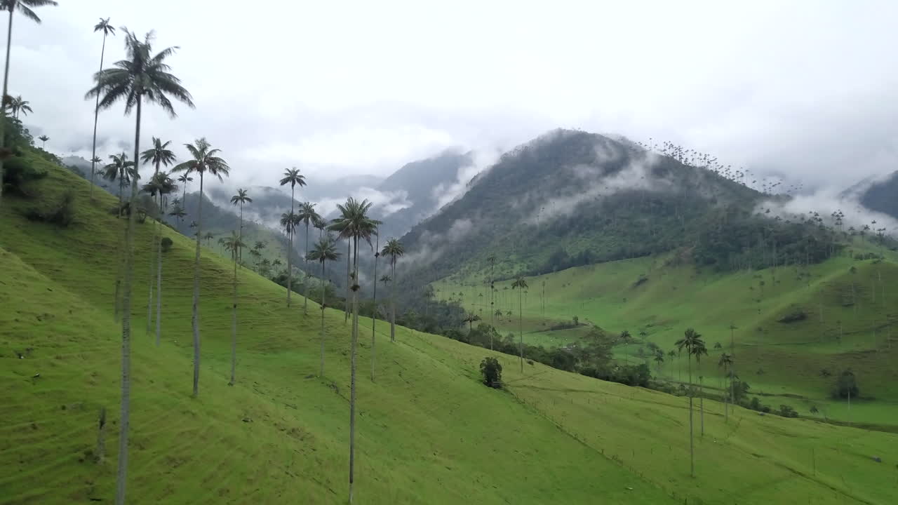 Plano de drone com movimento dolly do Vale do Cocora na Colômbia