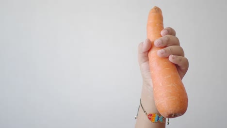 hand holding a large carrot