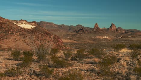 Ocotillo-Pflanzen-Wachsen-In-Einer-Wüstenlandschaft-Mit-Bergen