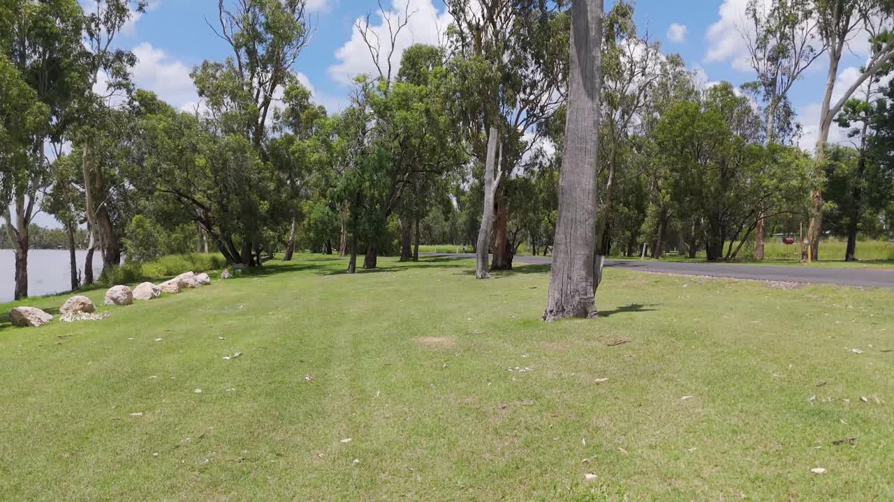 Peaceful park scene with lush greenery and trees