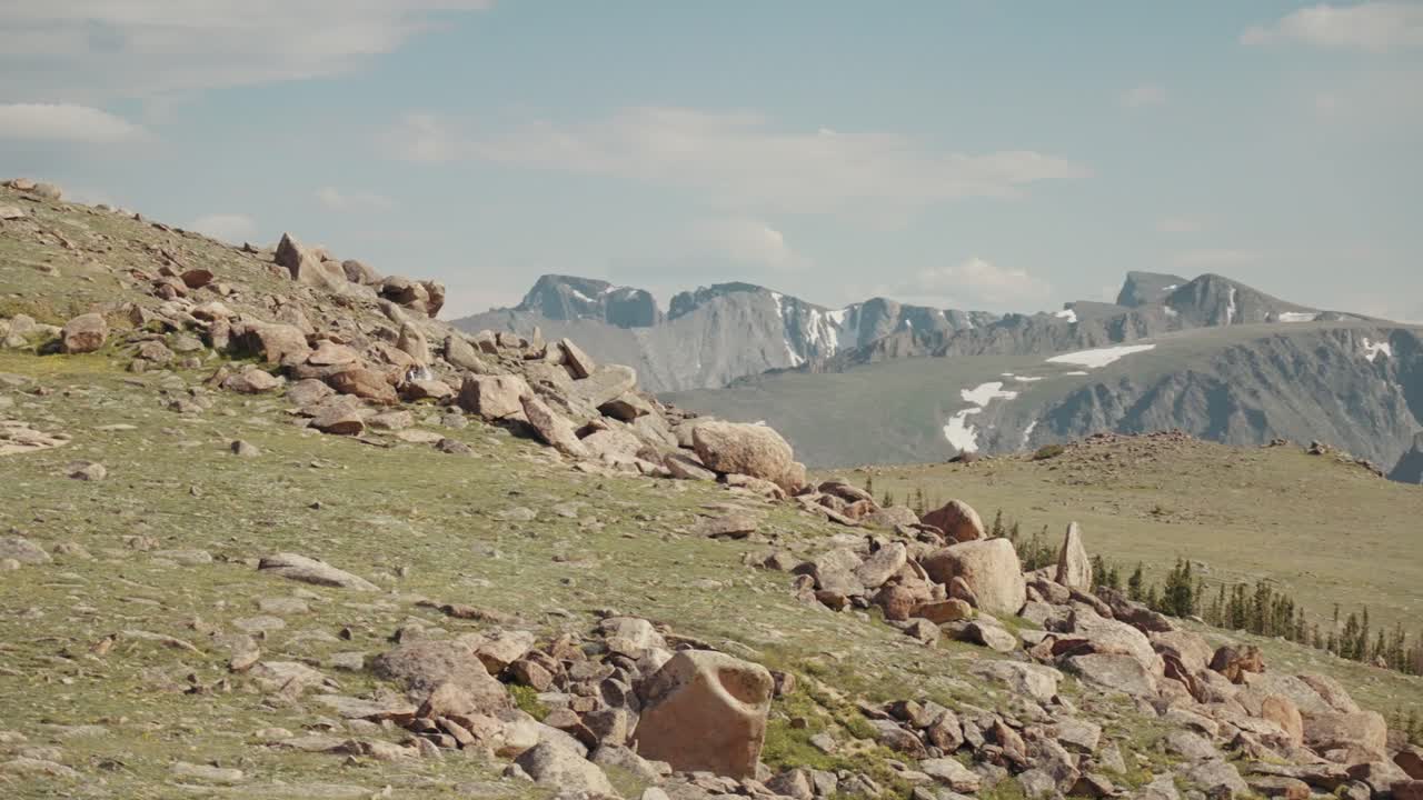 록키 마운틴 국립 공원의 툰드라 바위