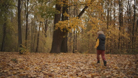 happy child is running to old tree in forest walking and having fun at autumn day at weekend following shot rest and entertainment at nature