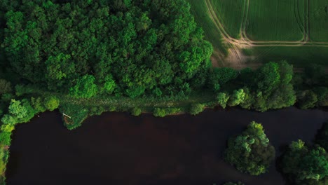 small water pond surrounded by dense forest and agriculture field, aerial view