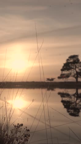 golden sunset over a calm lake