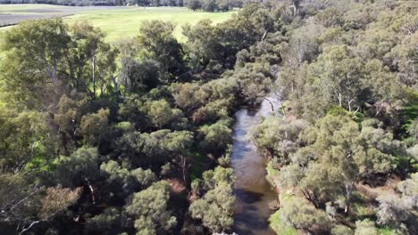 upper reaches of swan river surrounded by thick vegetation
