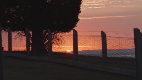 Goldener-Sonnenuntergang-Auf-Dem-Land-Mit-Maschendrahtzaun-Und-Silhouettenbaum,-Zeitlupe