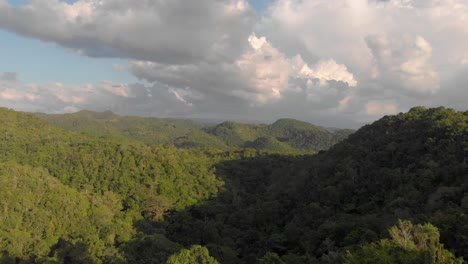 tiro de drone del bosque caribeño