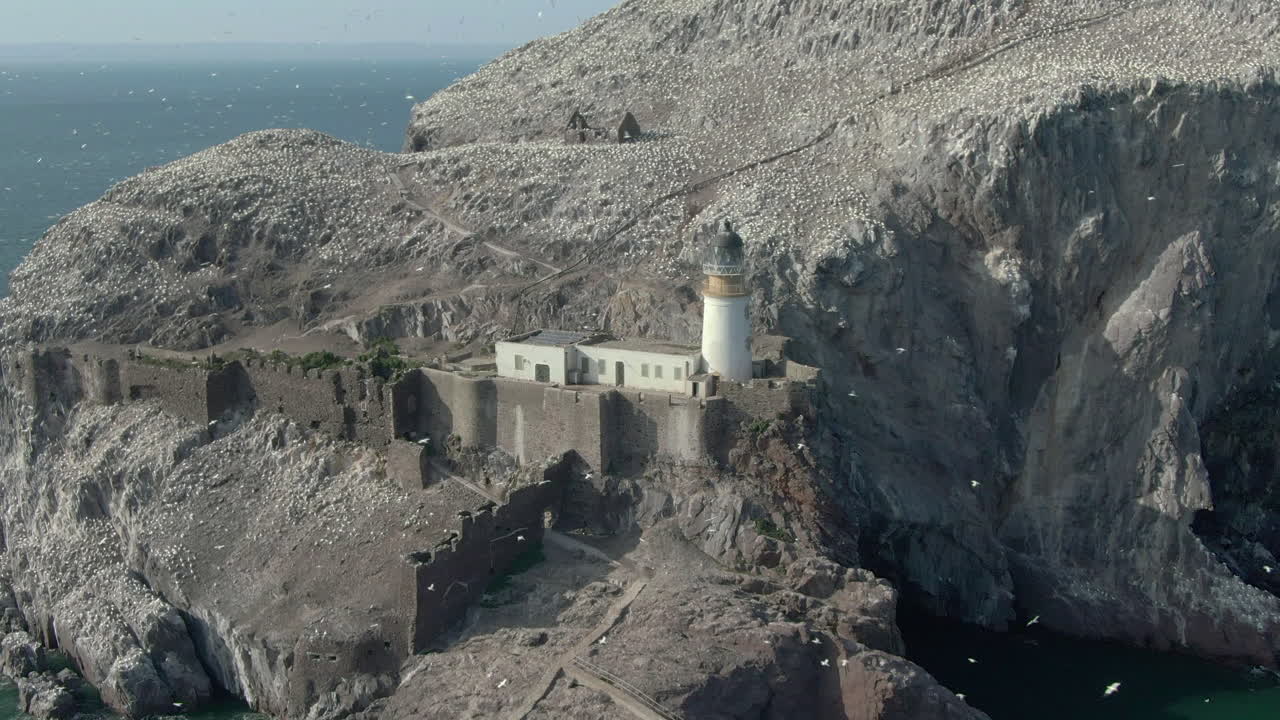 가넷 바닷새가 화창한 날 스코틀랜드 이스트 로디안에서 섬 식민지를 돌면서 배스 록과 등대를 돌고 있는 공중 전망