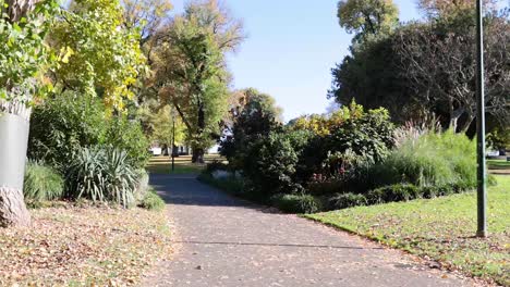 a serene walk through lush garden pathway