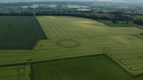 Fresh-Verdant-Fields-With-Flower-Crop-Circles-Near-Potterne-Village-In-The-County-Of-Wiltshire,-England