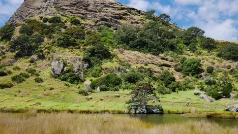 Hermoso-Tiro-Amplio-Del-Río-Tranquilo-Y-La-Montaña-Gigante-Cubierta-Durante-El-Día-Soleado-Cerca-De-La-Bahía-De-Los-Espíritus,-Nueva-Zelanda