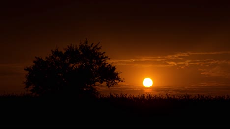 sun set time in wheat field behind clouds in farm land golden time to travel alone tree in silhouette view breathtaking landscape