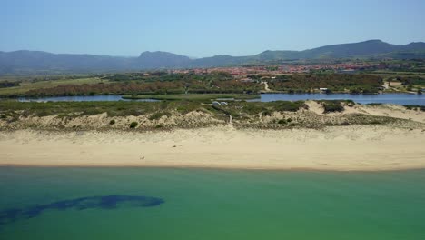 increíble vista de la playa de arena con vegetación verde cerca del mar azul