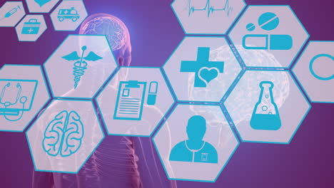 animation of hexagons with scientific icons over human model on violet background