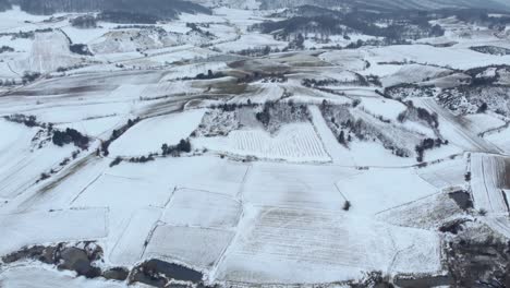 Aerial-Bird’s-eye-view-winter-snow-covered-mountain-fields-peaks-forest-tilt-up