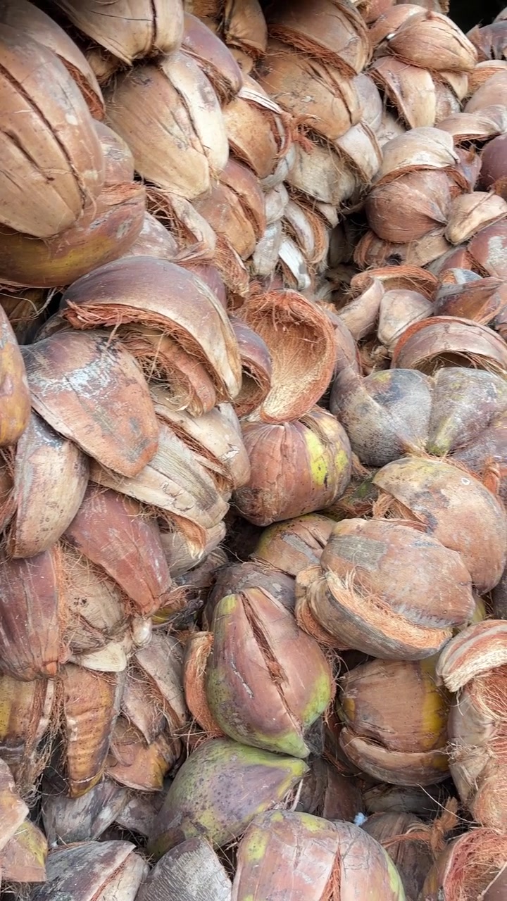 Close-up View of a Large Pile of Dried Coconut Husks