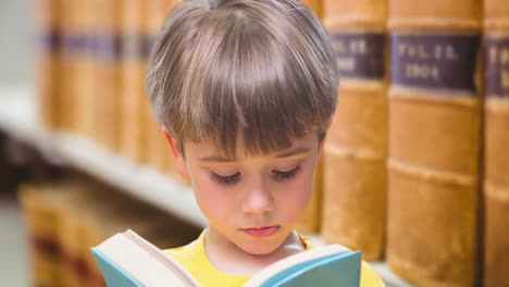 Animación-De-Un-Niño-Caucásico-Leyendo-Un-Libro-Sobre-La-Biblioteca