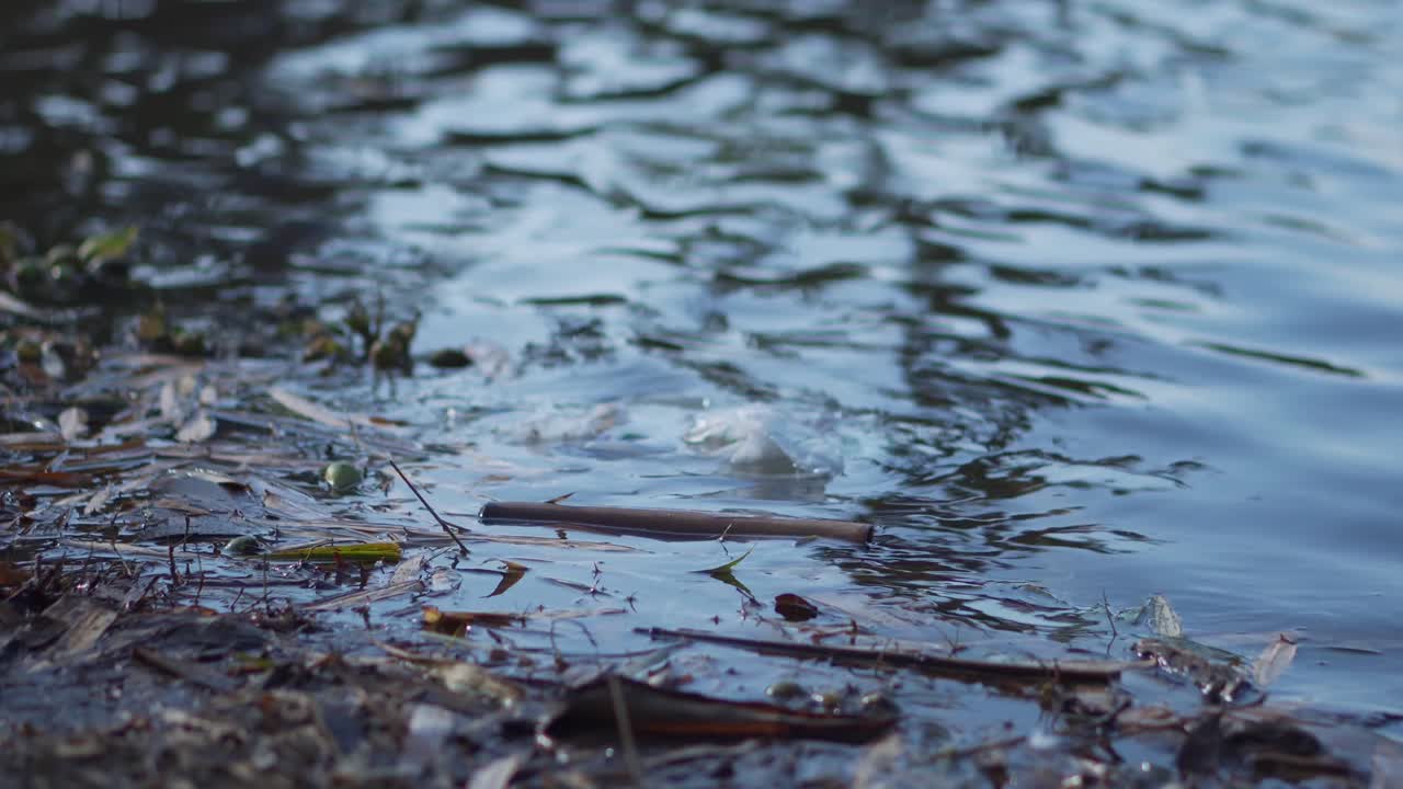 호수 물에 떠 있는 버려진 비닐 봉지