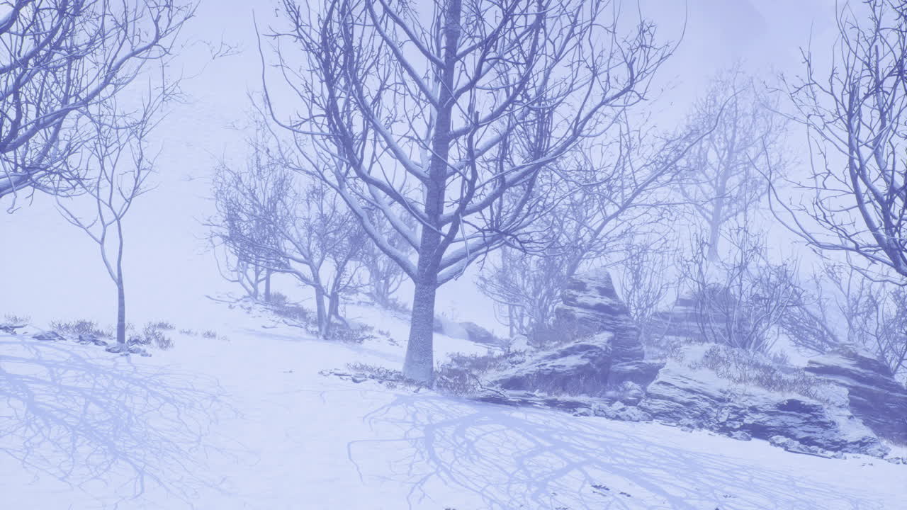 Snowy winter landscape with bare trees and rocky terrain in soft light