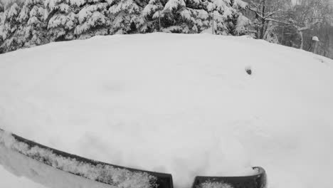 el hombre quita la nieve del camino de entrada con una pala grande el día de invierno