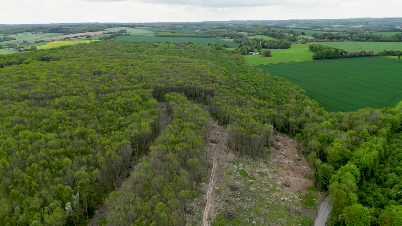 High altitude drone shot dolly backwards over deforestation