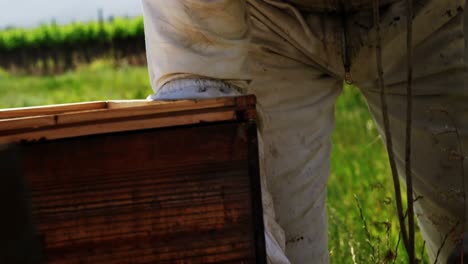 beekeeper smoking the bee hive