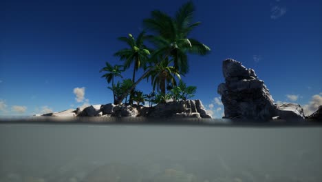 brown muddy water and palms on island