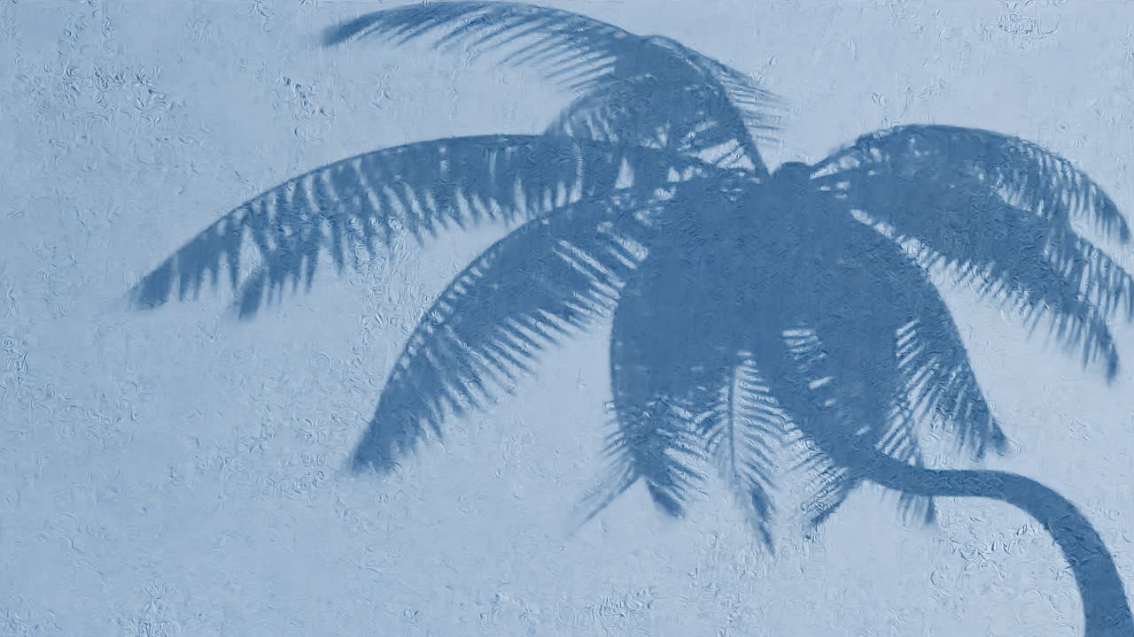 Palm tree shadow on textured blue wall. Tropical silhouette concept