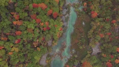 Colorful-natural-valley-in-Plitvička-national-park,-autumn,-top-down-aerial