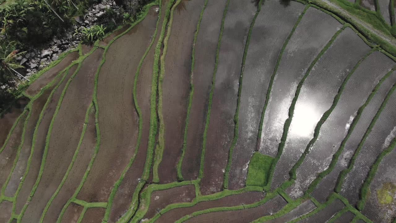 vista superior de las terrazas de los campos de arroz, las líneas y el agua que vuela sobre una colina