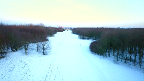 snowy path trough the forest in winter