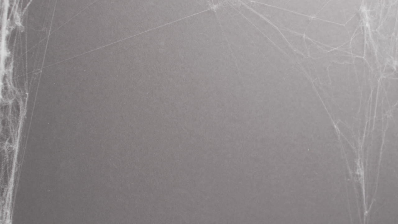 video de la araña de halloween y la tela de araña y copia el espacio en fondo gris