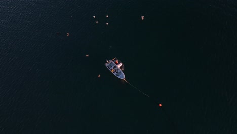 anchored boat transfers fish to rowboat as seabirds fly by in open ocean