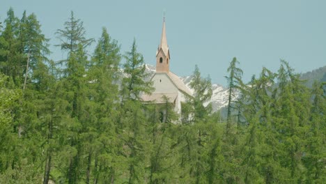 medium shot, trees blow in the wind on a sunny day in italy, church tower and mountain range next to reschensee in the background