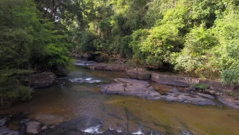 river flowing through forest