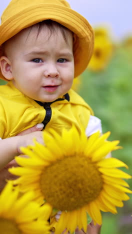 baby in a sunflower field