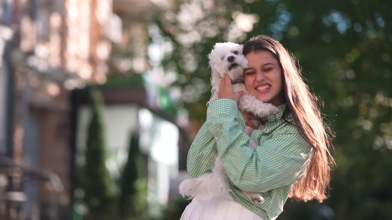 어린 여자 가 말테스 개 와 함께 놀고 있다