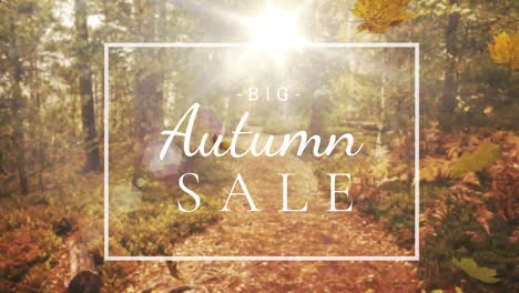 Digitally-generated-video-of-autumn-sale-4k