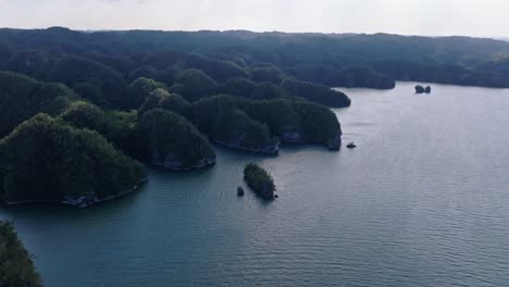 aerial flight towards beautiful los haitises national park with overgrown islands, dominican republic