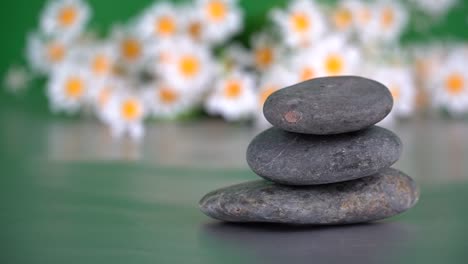 carefully balanced rocks and daisies on a reflective surface