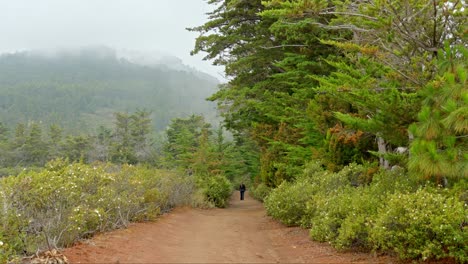 Hiking-trail-with-distant-tourist-in-Tenerife-mountains-on-a-foggy-day